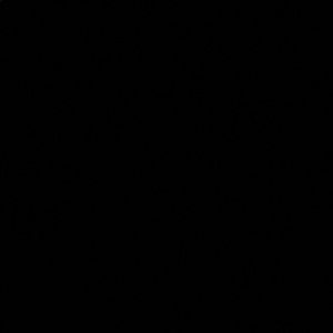 Meet your Posher, Nelson